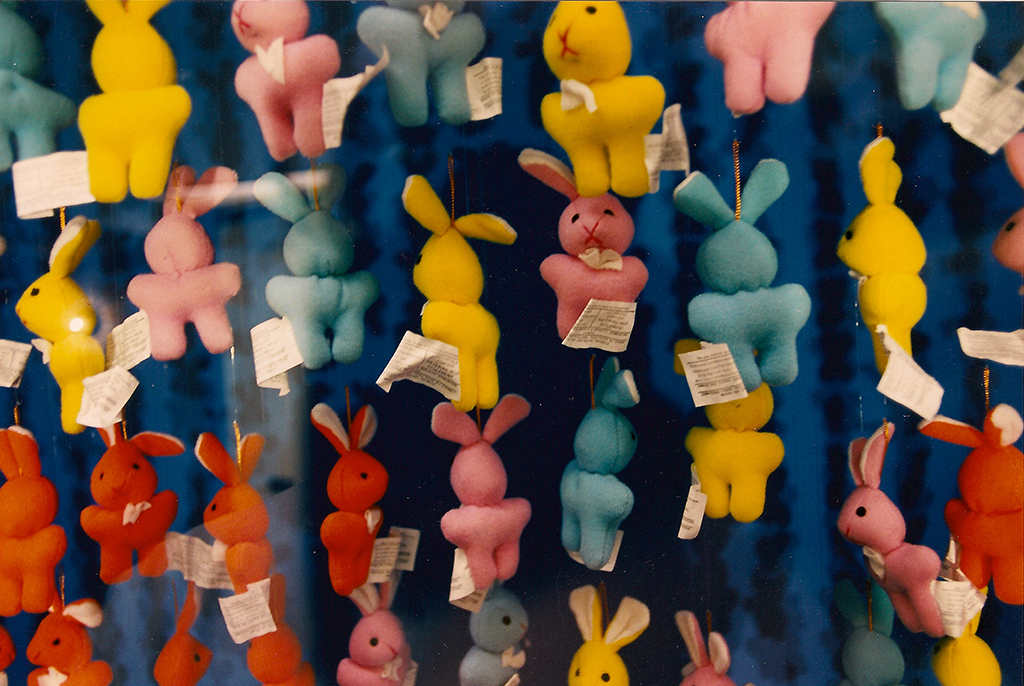 photograph of art installation